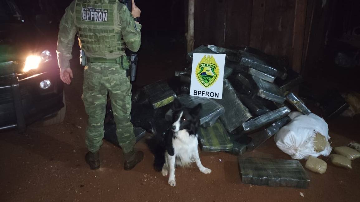 BPFRON apreende mais de uma tonelada de maconha em Marechal Cândido Rondon