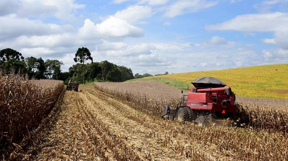 Governo do Paraná quer taxar a produção agropecuária com o Projeto de Lei 498/2022