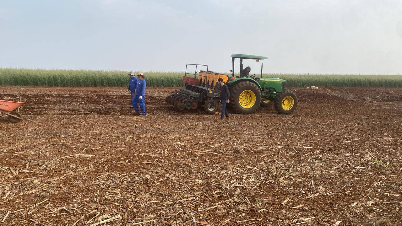 37º Show Rural inicia o cultivo de parcelas para teste de produtividade