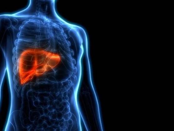 Câncer de fígado: um alerta silencioso em meio às hepatites