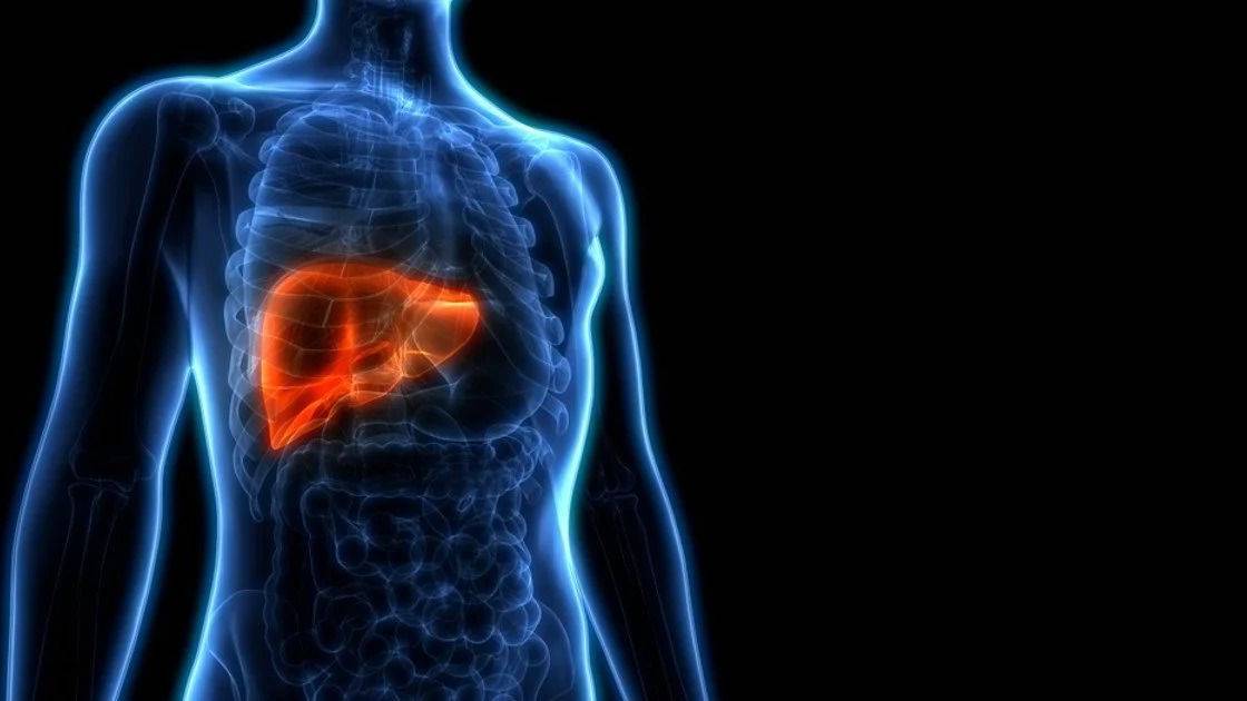 Câncer de fígado: um alerta silencioso em meio às hepatites