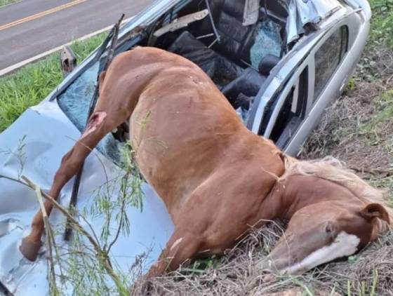 Carro fica destruído ao atropelar égua em  PR-539, próximo à Vila Paraíso, em Marilândia do Sul