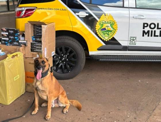 Cães farejadores da BPRv apreendem cigarros contrabandeados em ônibus em Cascavel