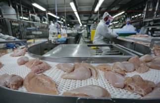 Carne de frango ganha cada vez mais espaço na mesa do brasileiro