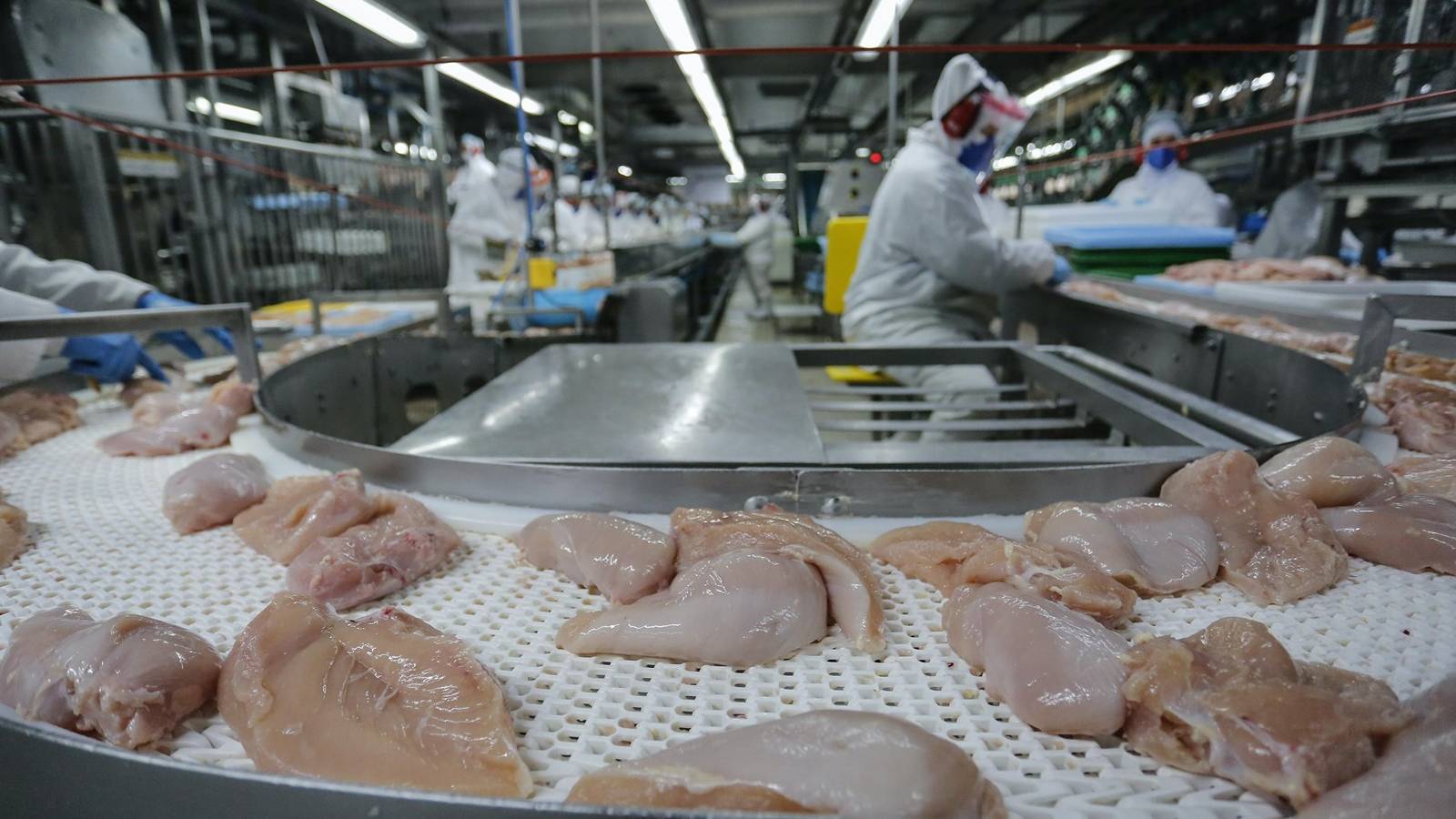 Carne de frango ganha cada vez mais espaço na mesa do brasileiro
