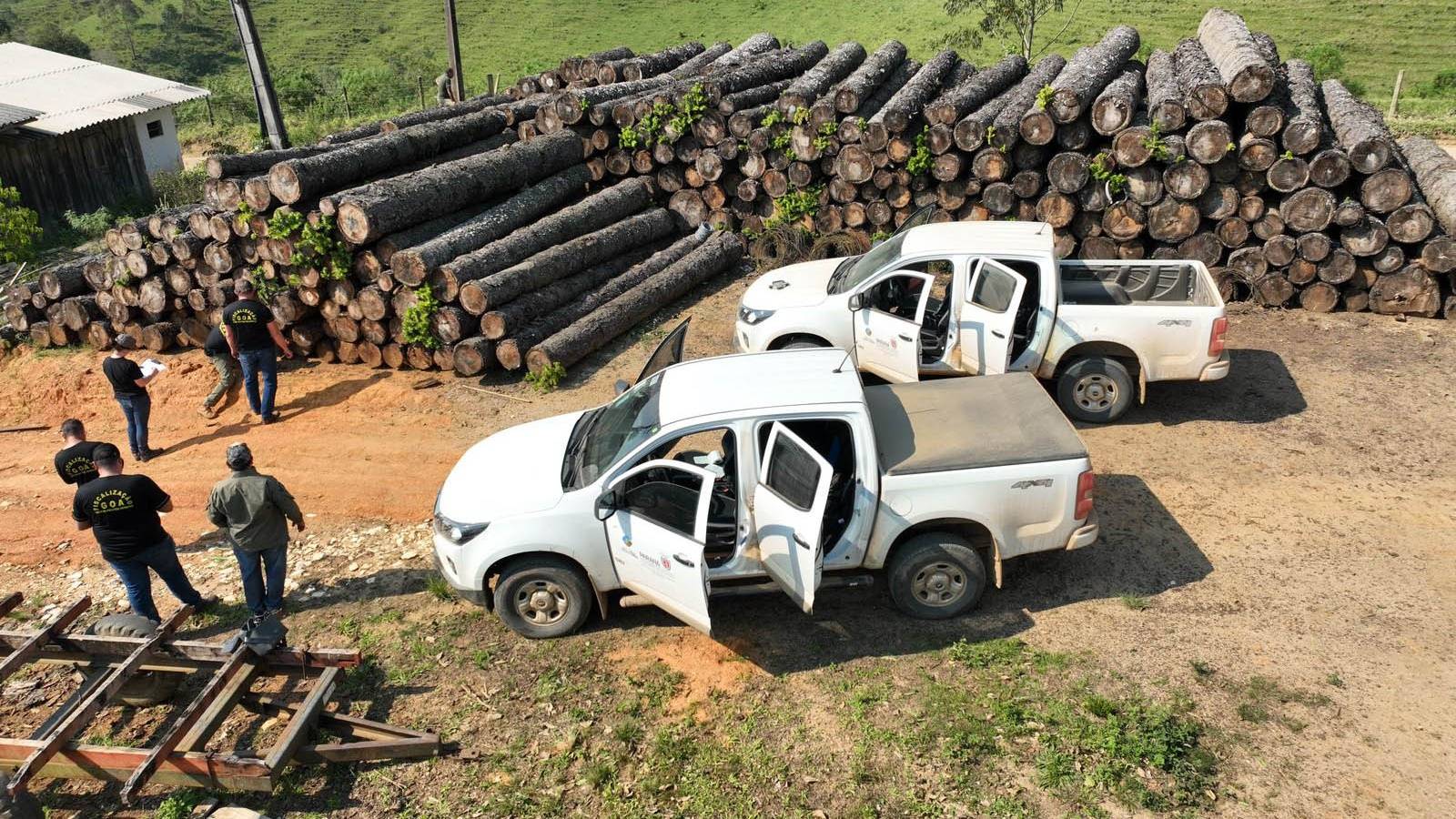 Multa por crimes ambientais cresce 24% no Paraná entre janeiro e novembro de 2024