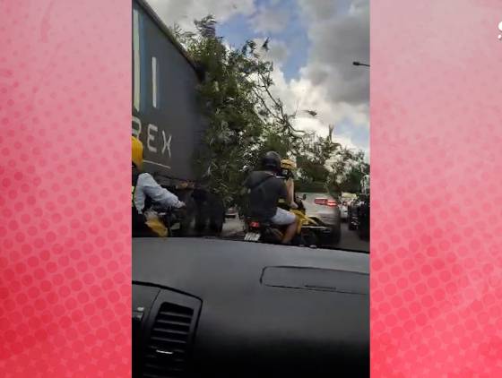 Caminhão com galho de árvore em cima, causa grande susto em motociclistas na Ponte da Amizade