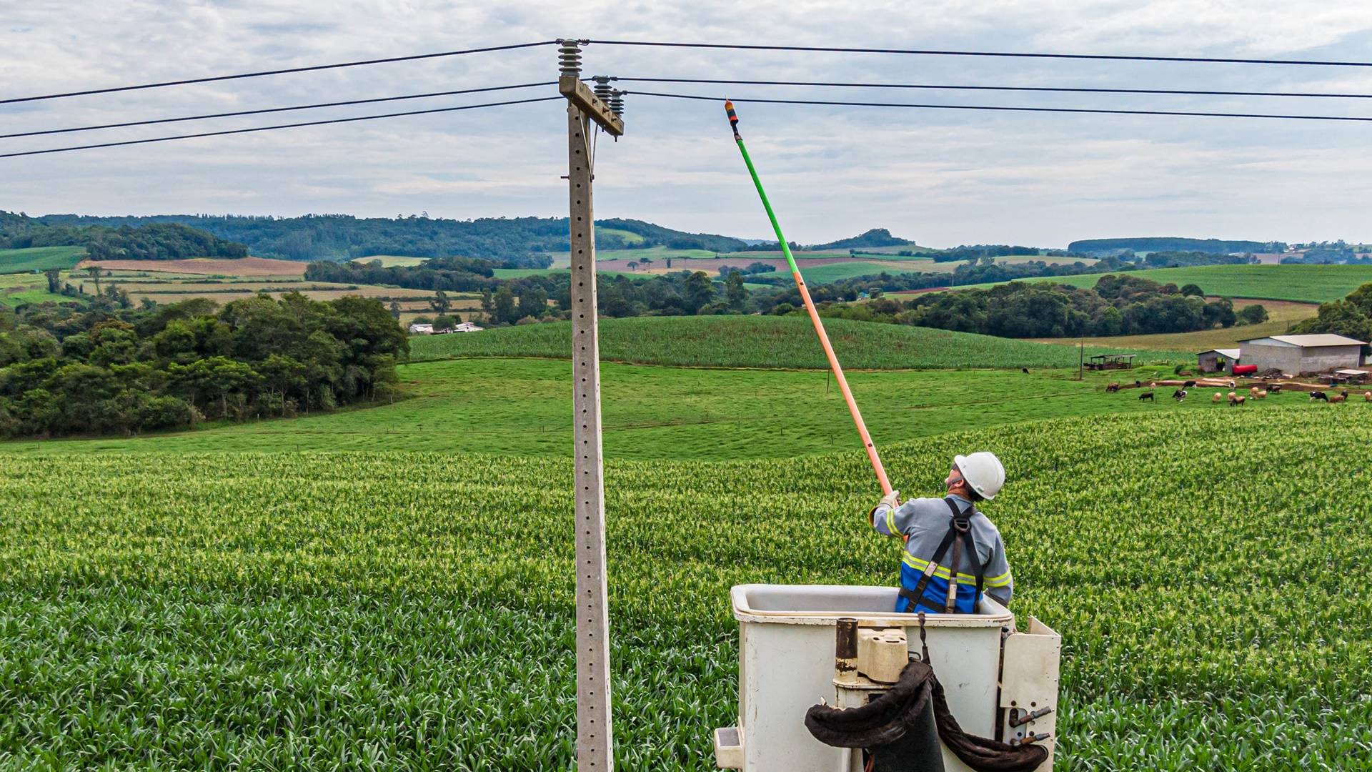 Do Clic Rural aos 19 mil km de redes do Paraná Trifásico, Copel leva investimentos ao campo