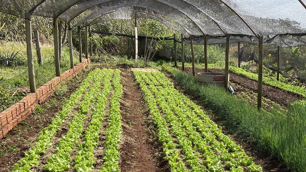 Convênio de Assistência e Extensão Rural de Itaipu e PTI vai beneficiar 2.500 famílias agricultoras