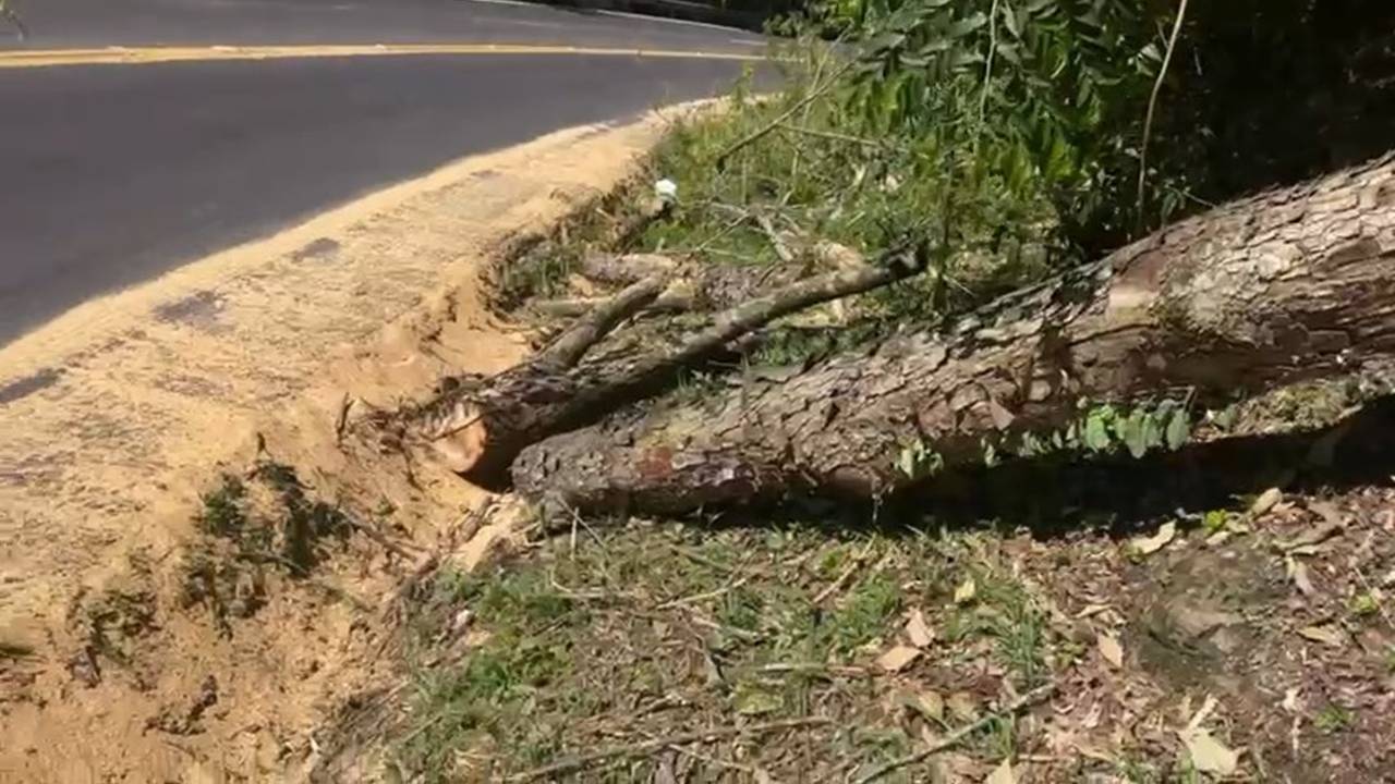 Nova Laranjeiras: Indígenas bloqueiam BR-277 e praticam saques em veículos