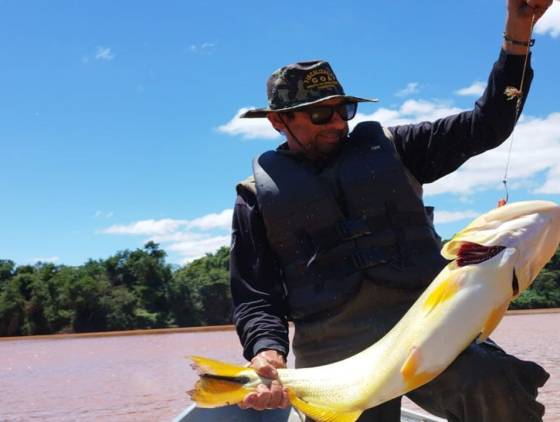 Piracema: proibição de pesca predatória na Bacia do Rio Paraná começa na sexta-feira