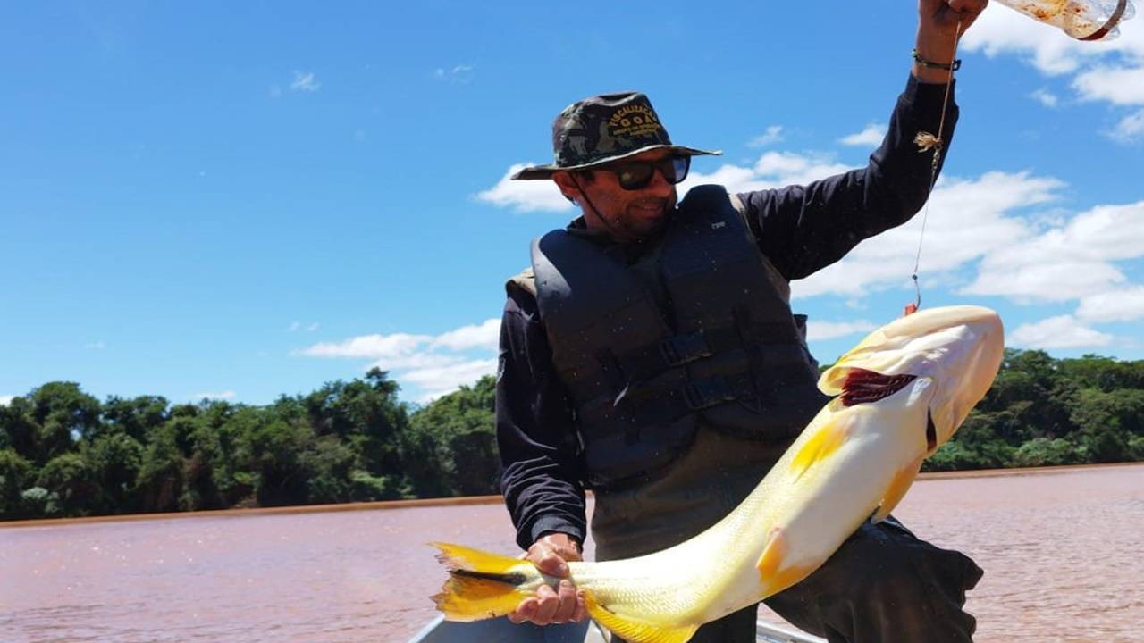 Piracema: proibição de pesca predatória na Bacia do Rio Paraná começa na sexta-feira